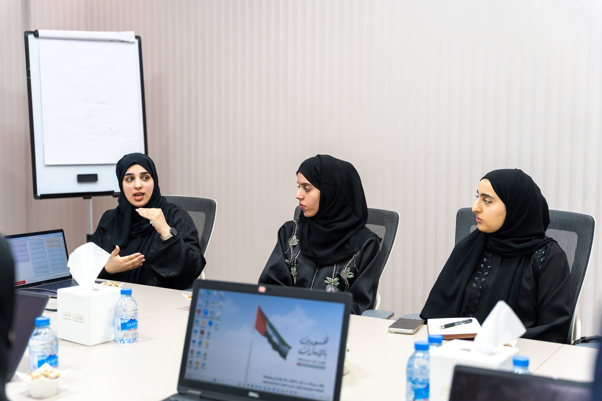 اجتماع التنسيق المسبق لإعداد الخطة المالية 2027-2029 مع المجلس التنفيذي ودائرة الموادر البشرية ودائرة عجمان الرقمية