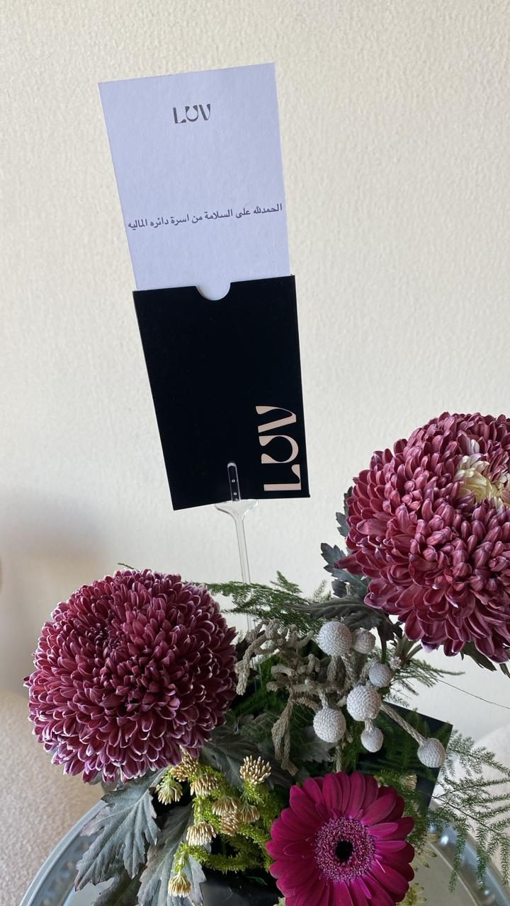 تستاهل السلامة